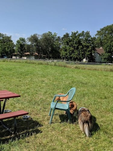 City Of Mendota Heights Off-leash Dog Area