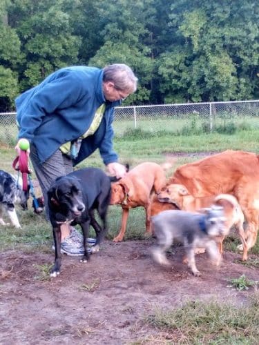 City Of Mendota Heights Off-leash Dog Area