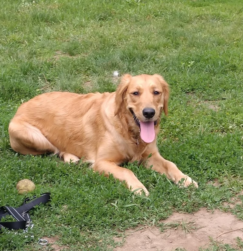 City Of Mendota Heights Off-leash Dog Area - Mendota Heights, MN