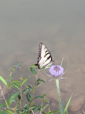 Montgomery Township Park