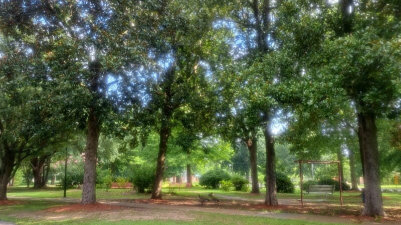 Highland Park - Meridian, MS