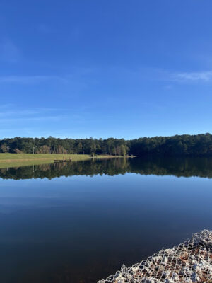 Bonita Lakes