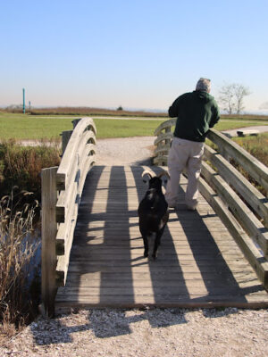 Norman J. Levy Park & Preserve