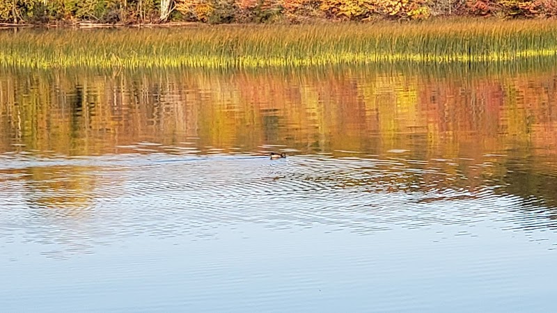 Bergland Township Park - Merriweather,