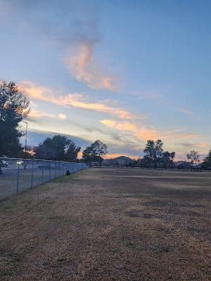 Countryside Dog Park