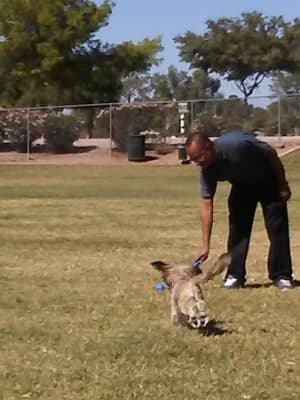 Countryside Dog Park