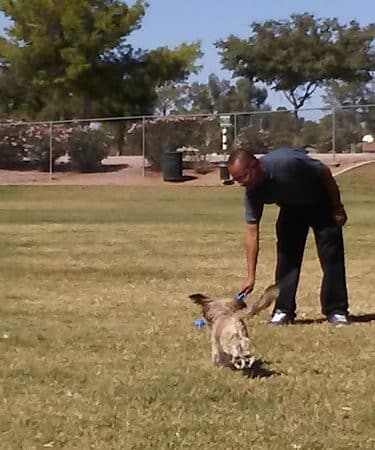 Countryside Dog Park