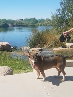 Countryside Dog Park
