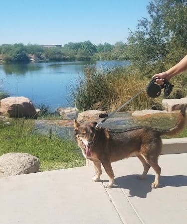 Countryside Dog Park