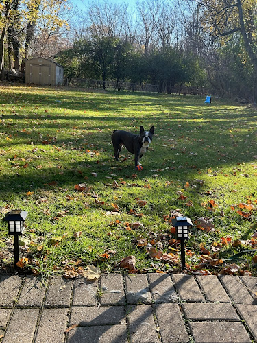 The Bark Yard - Private Dog Park