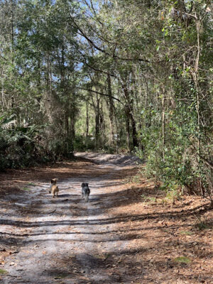 Foxmeadow Recreational Park