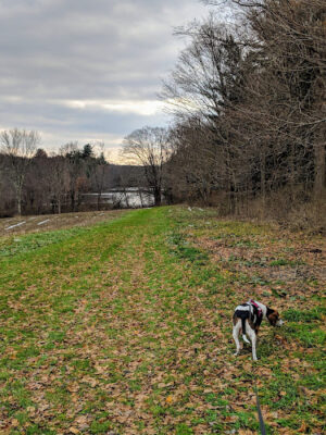 John Largay Preserve, Middlebury Land Trust