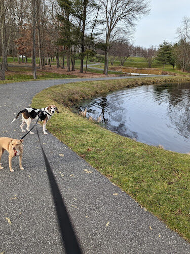 Meadowview Park