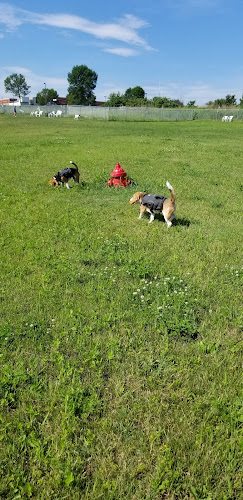 Middlebury Dog Park