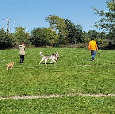 Maple Hill Dog Park - Middletown, NY