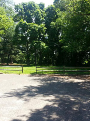Dorsett Park