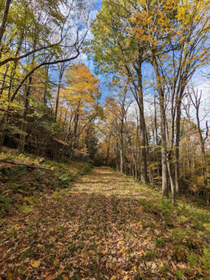 Trail Parking - Savage River State Forest - Outer Loop