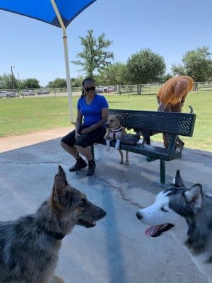 Hogan's Run Dog Park