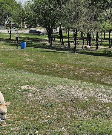 Midlothian Dog Park