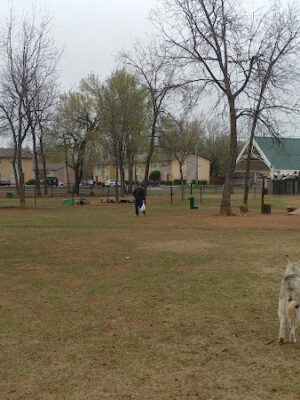 Fred Quinn Happy Tails Dog Park