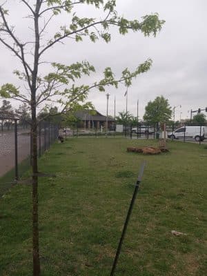 MWC Welcome Center Dog Park