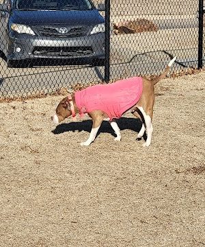 MWC Welcome Center Dog Park