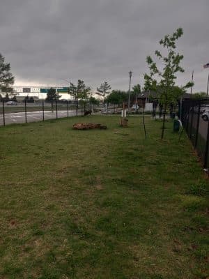 MWC Welcome Center Dog Park