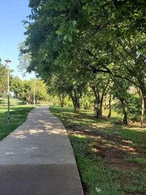 Palmer Loop - North Trailhead