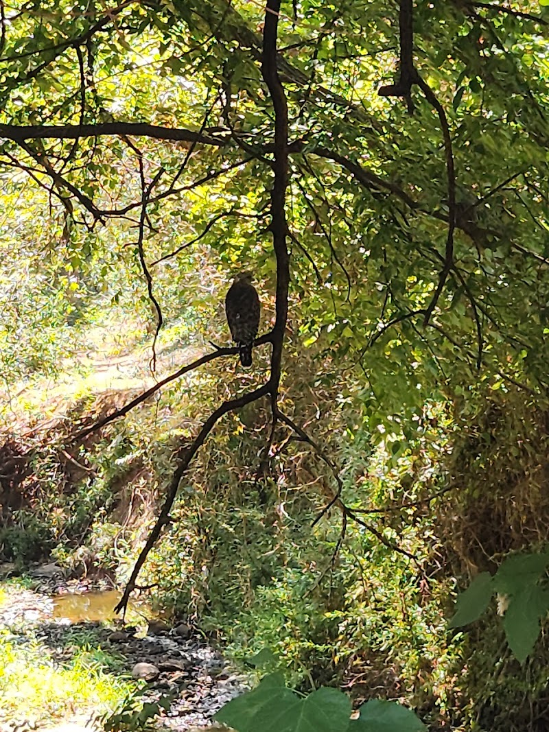 Palmer Loop - North Trailhead - Midwest City, OK