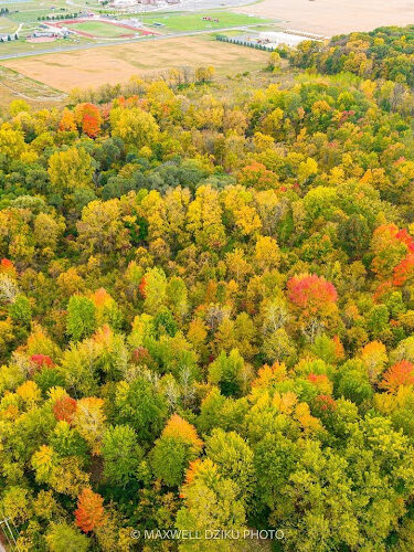 Milan Nature Park