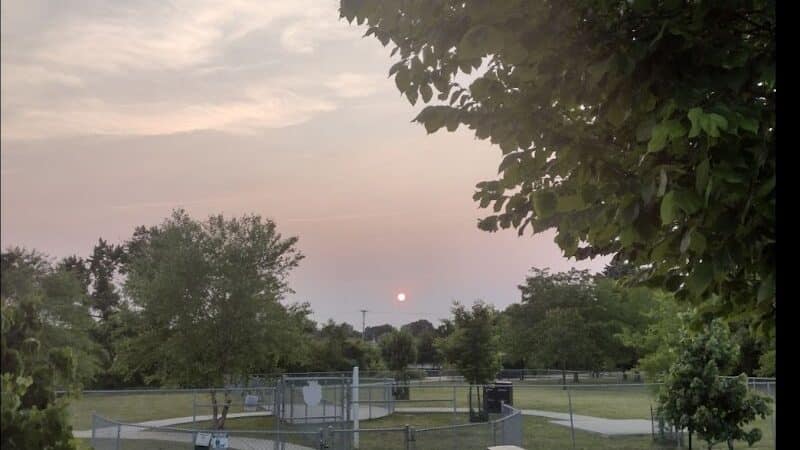 Milford Dog Park - Milford,