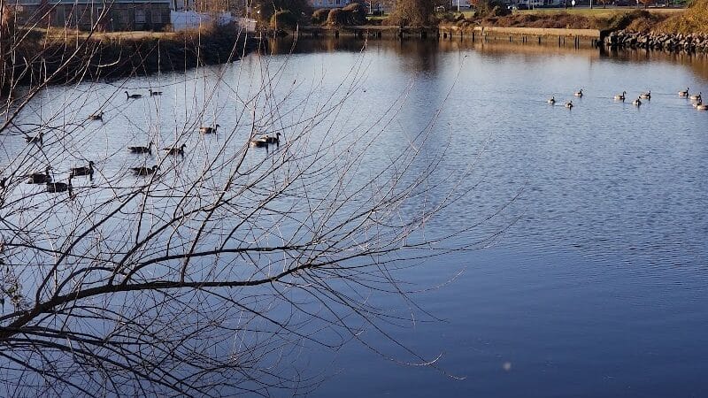 Milford Dog Park - Milford,