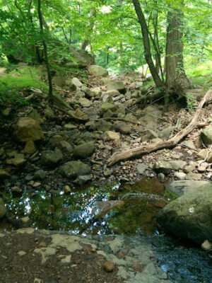 Maple Falls Cascades