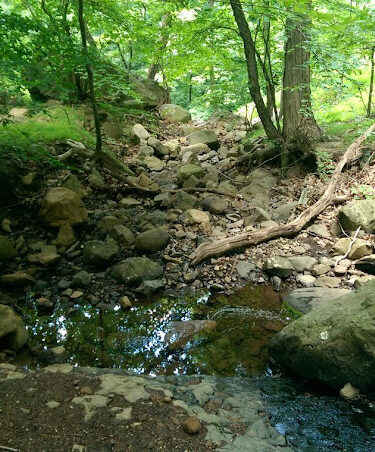 Maple Falls Cascades