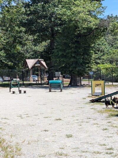 South Mountain Dog Park - Millburn, NJ