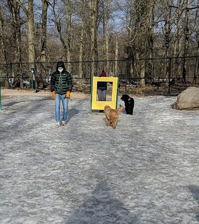 South Mountain Dog Park - Millburn,