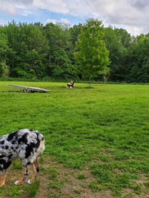 Butler Farm Dog Park