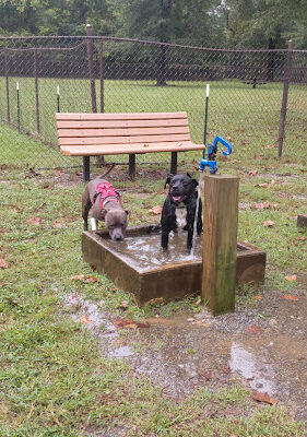 Oconee River Greenway Dog Park