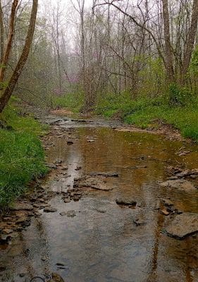 Millhousen