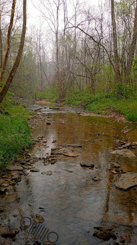 Millhousen