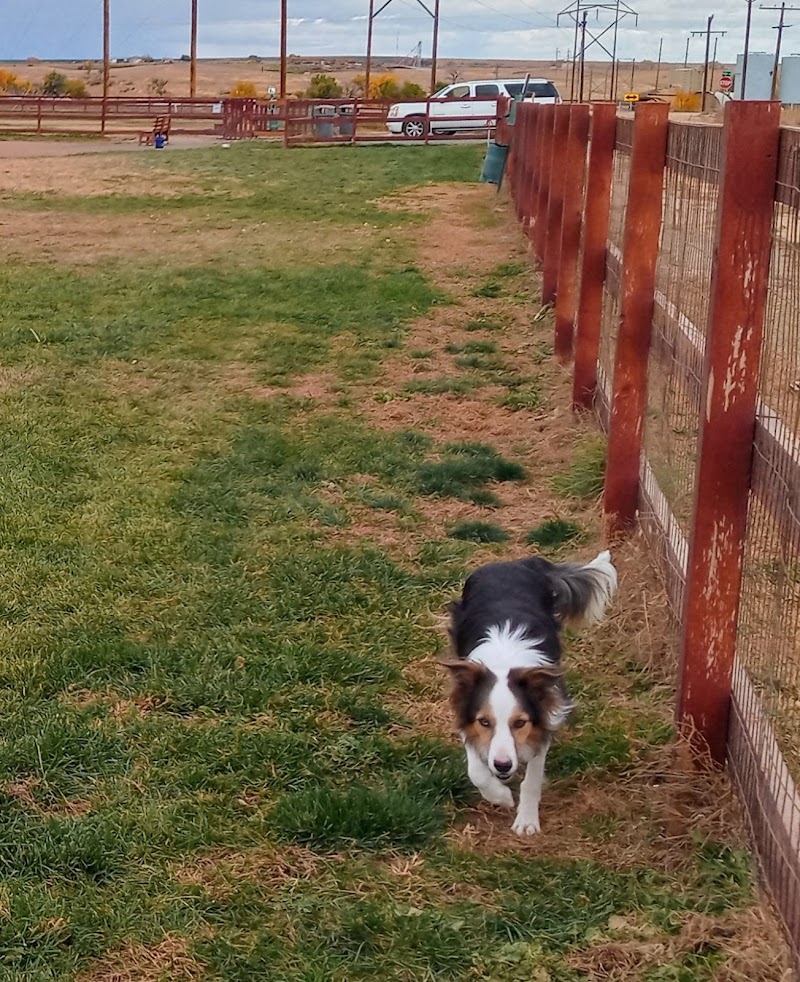 Milliken Dog Park - Milliken, CO