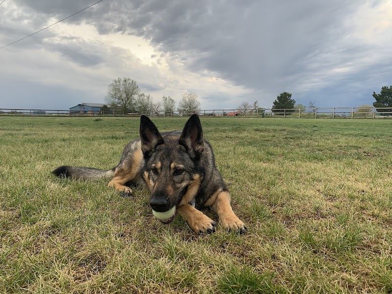 Milliken Dog Park - Milliken, CO