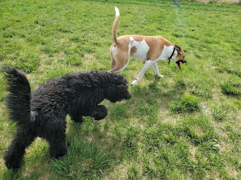 Milliken Dog Park - Milliken, CO