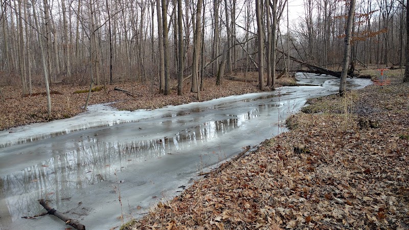 Arthur Latham Park - Millington,