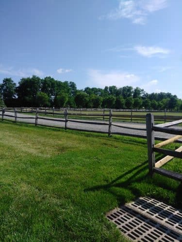 Abate Park