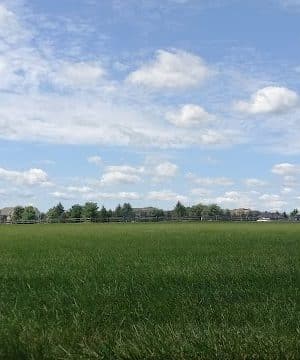 Abate Park