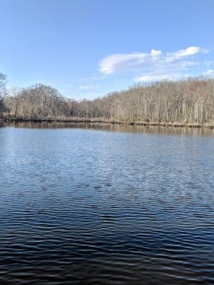 Millstone Park