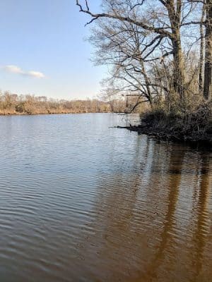 Millstone Park