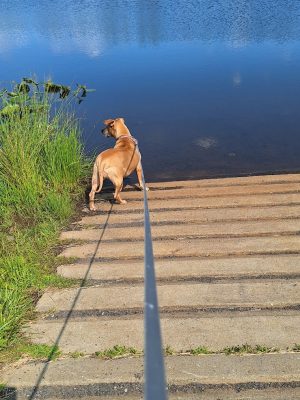 Millstone Park