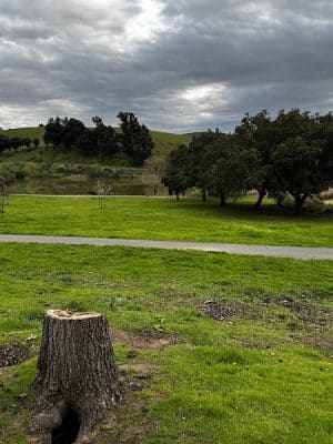 City of Milpitas Dog Park at Ed R. Levin